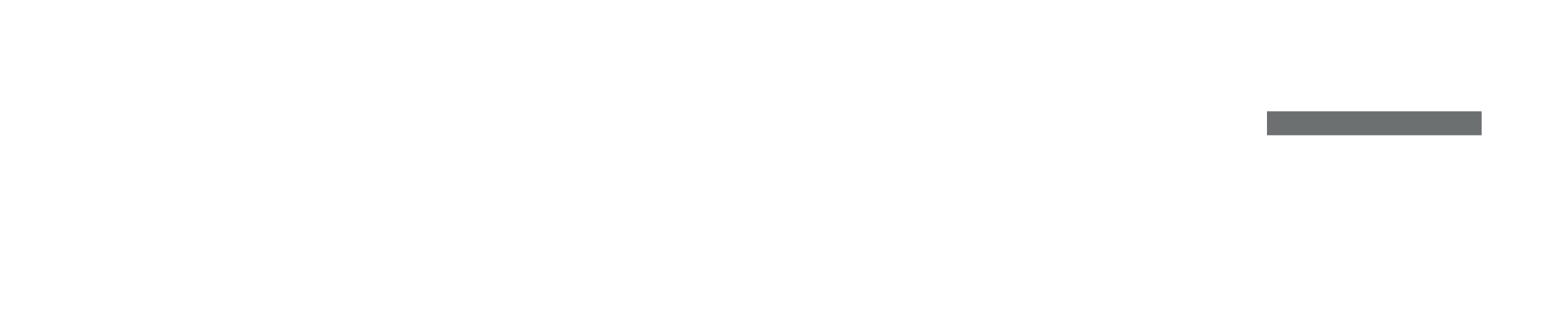 Logo Pryme Bianco